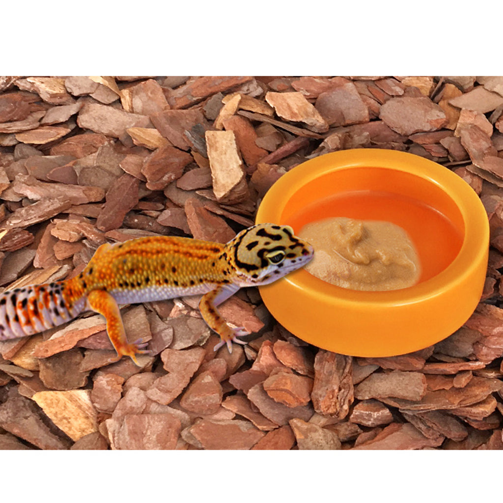 2Pcs Reptile Feeder Ceramics Reptile Lizard Food Bowl Anti-escape  White L