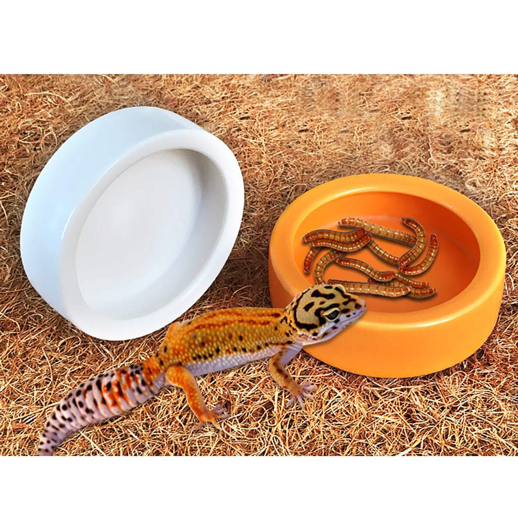 2Pcs Reptile Feeder Ceramics Reptile Lizard Food Bowl Anti-escape  White L