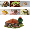 Snake Lizard Tortoise Reptile Food Dish Feeding Bowl Cup Resin Worm Feeder Triangle