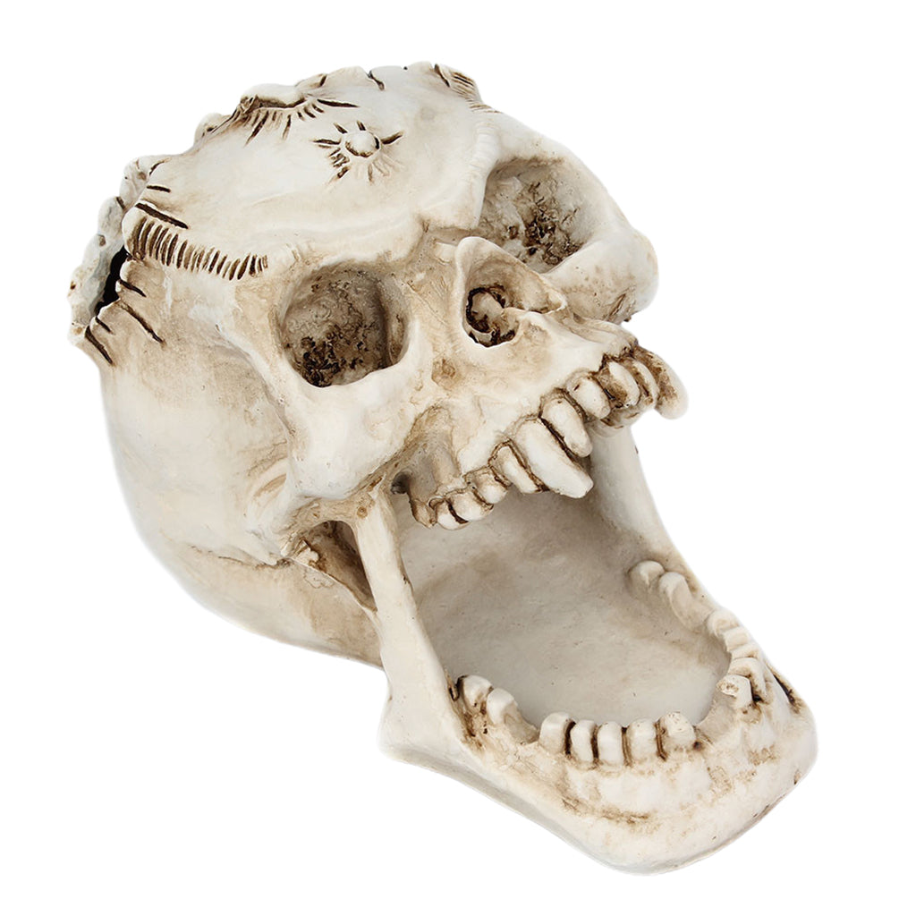 Resin Skull Heads Jewelry Storage Box Case Craft Organizer Brush Pot Dresser