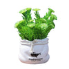 Potted  Artificial Daisy Flower Pot Bonsai Fake Plant in Vase Green Flower