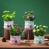 Potted  Artificial Daisy Flower Pot Bonsai Fake Plant in Vase Green Flower