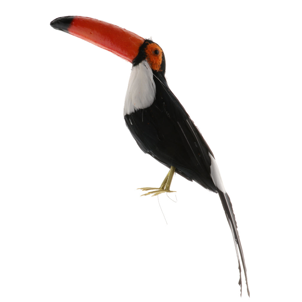 Lifelike Simulation Animals Model Figurine Kids Toy Home Decoration Toucan D