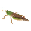 Load image into Gallery viewer, Animal Toys Educational Resource High Simulation Reallistic Insects Figure M