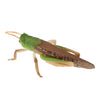 Animal Toys Educational Resource High Simulation Reallistic Insects Figure M