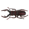 Animal Toys Educational Resource High Simulation Reallistic Insects Figure L