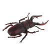 Animal Toys Educational Resource High Simulation Reallistic Insects Figure L