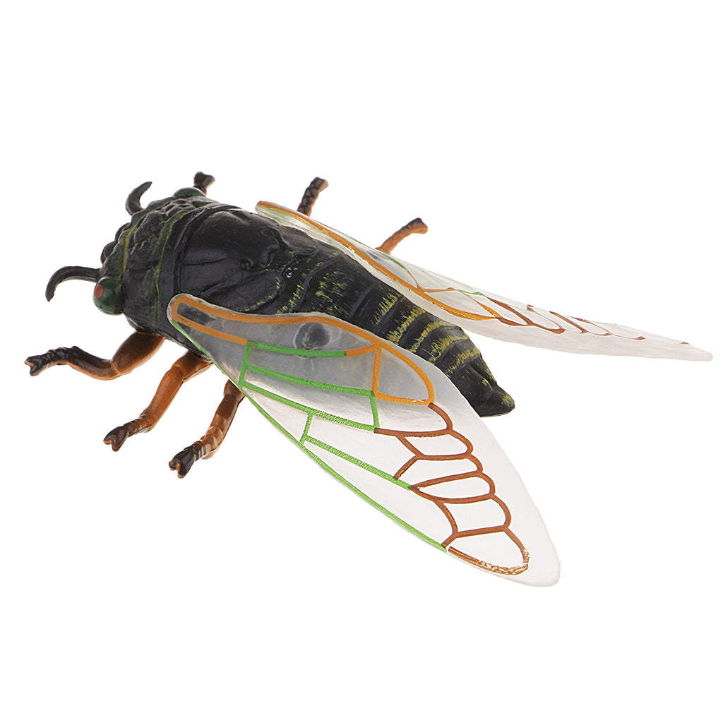 Animal Toys Educational Resource High Simulation Reallistic Insects Figure N