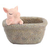 Pig Planter Flower Pot Succulent Planter Flowerpot Decor for Home Office Thinking Pig