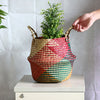 Natural Hand Woven Rattan Wicker Basket Garden Flower Vase Pot Holder Red