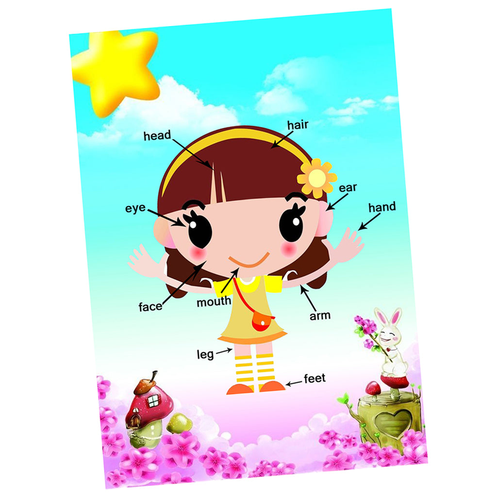 Kids Toddlers earning Poster Preschool Educational Wall Posters Body