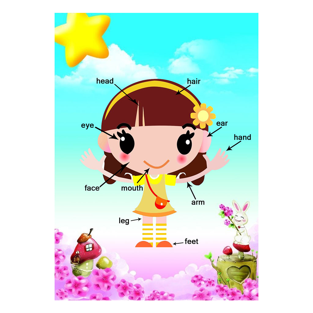 Kids Toddlers earning Poster Preschool Educational Wall Posters Body