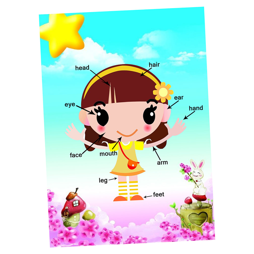 Kids Toddlers earning Poster Preschool Educational Wall Posters Body