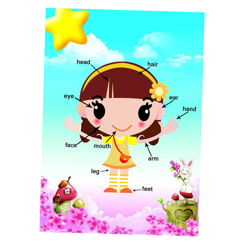 Kids Toddlers earning Poster Preschool Educational Wall Posters Body