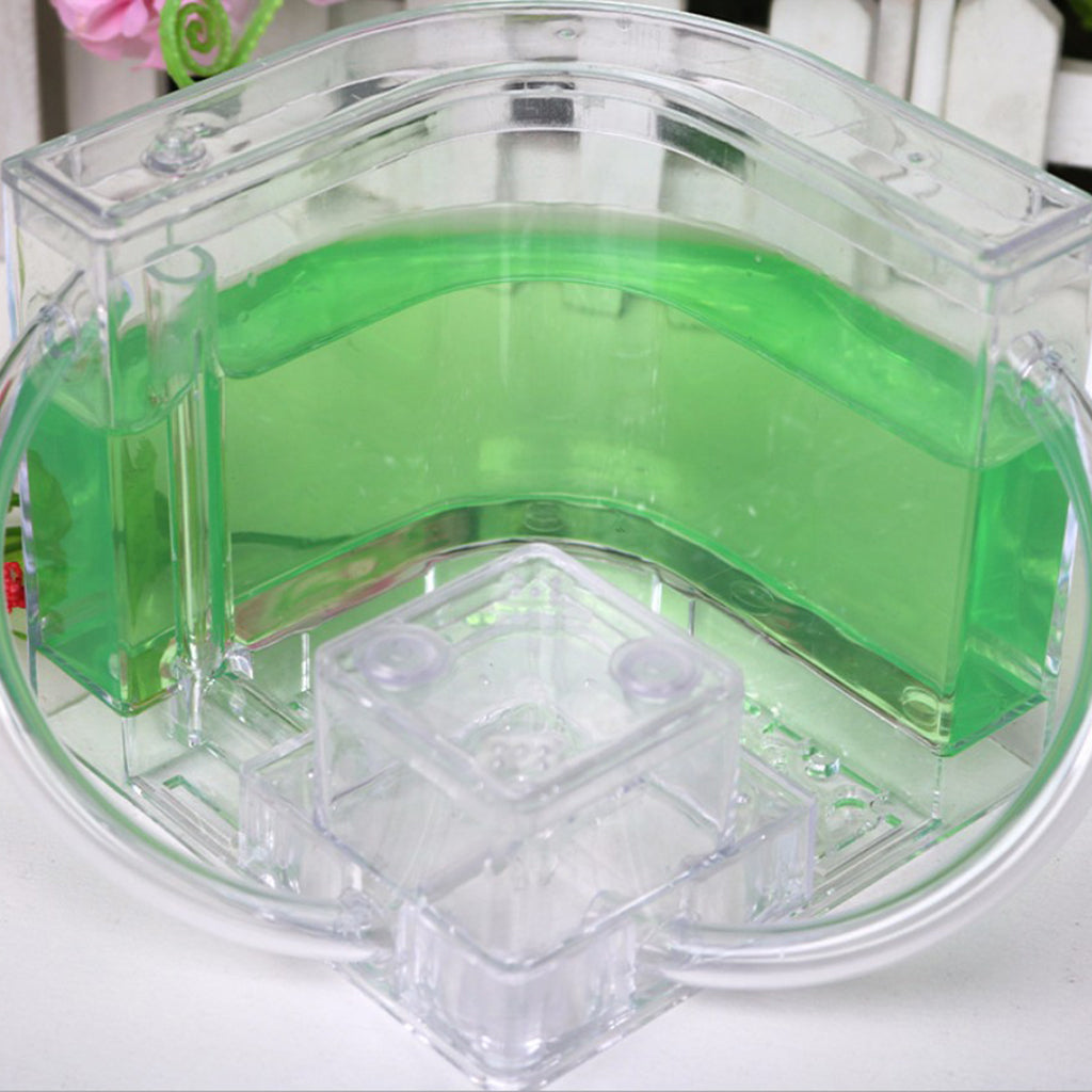 Ant Farm Home Social Structure Kids Experiment Toys 1 Layer with Hose Green