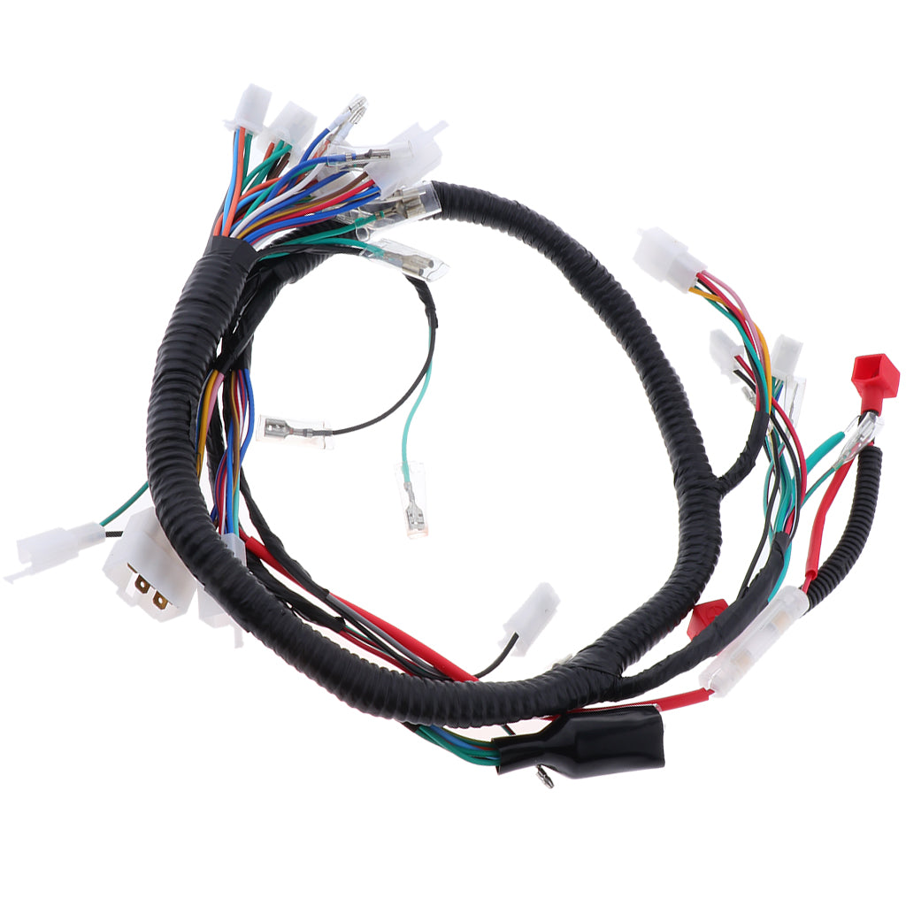 Complete Electrics All Wiring Harness Assembly for Motorbike Scooter