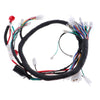 Complete Electrics All Wiring Harness Assembly for Motorbike Scooter