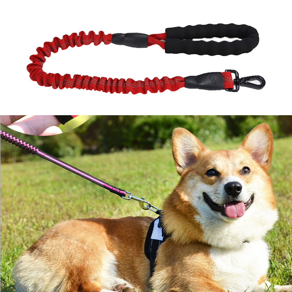 Elastic Adjustable Pet Traction Rope Leash Dog Walking Rope For Dog Red