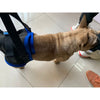 Dog Walking Lifting Carry Support Harness for Injured Disabled Dog XL