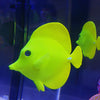 Luminous Simulation Fish Aquarium Glow Decoration Artificial Fishes Blue