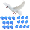 10 Pcs Pigeons Sand Cups Bird Food Water Container Plastic Bowl for Cage L