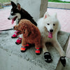 4 Pcs Pet Dog Shoes Boots Anti-Slip Waterproof Pet Paw Protector Dog Shoes  Black-M