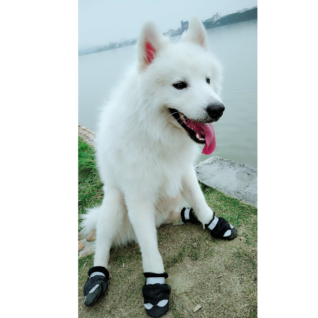 4 Pcs Pet Dog Shoes Boots Anti-Slip Waterproof Pet Paw Protector Dog Shoes  Black-M