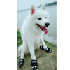 4 Pcs Pet Dog Shoes Boots Anti-Slip Waterproof Pet Paw Protector Dog Shoes  Black-M