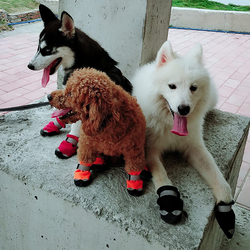 4 Pcs Pet Dog Shoes Boots Anti-Slip Waterproof Pet Paw Protector Dog Shoes  Black-S