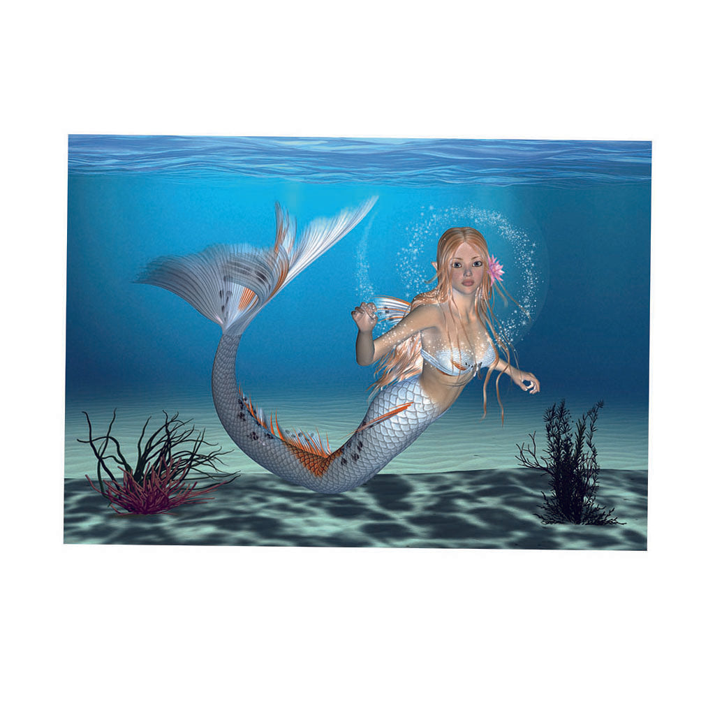 Aquarium Background HD Picture Reptile Vivarium Wallpaper Mermaid XL