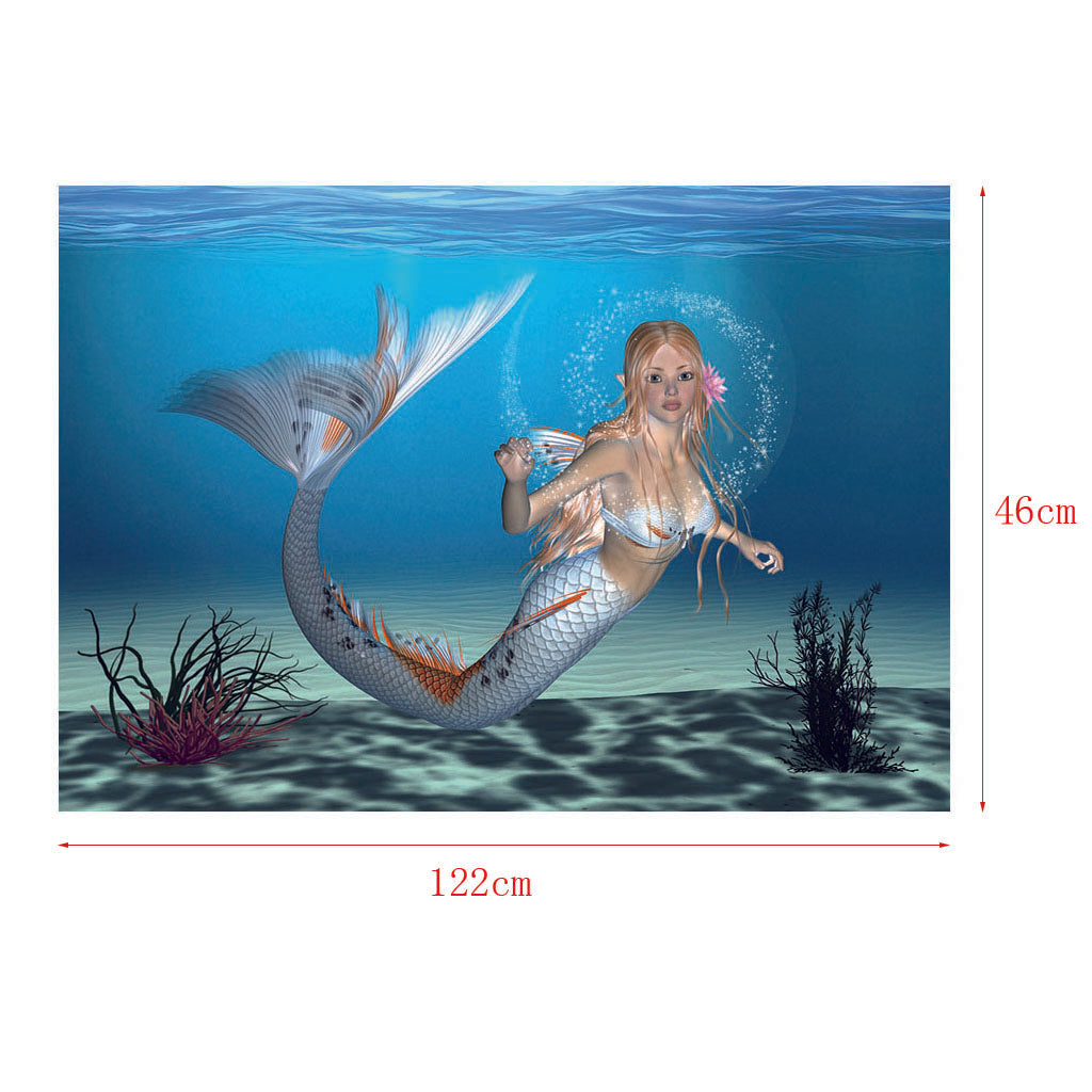 Aquarium Background HD Picture Reptile Vivarium Wallpaper Mermaid XL