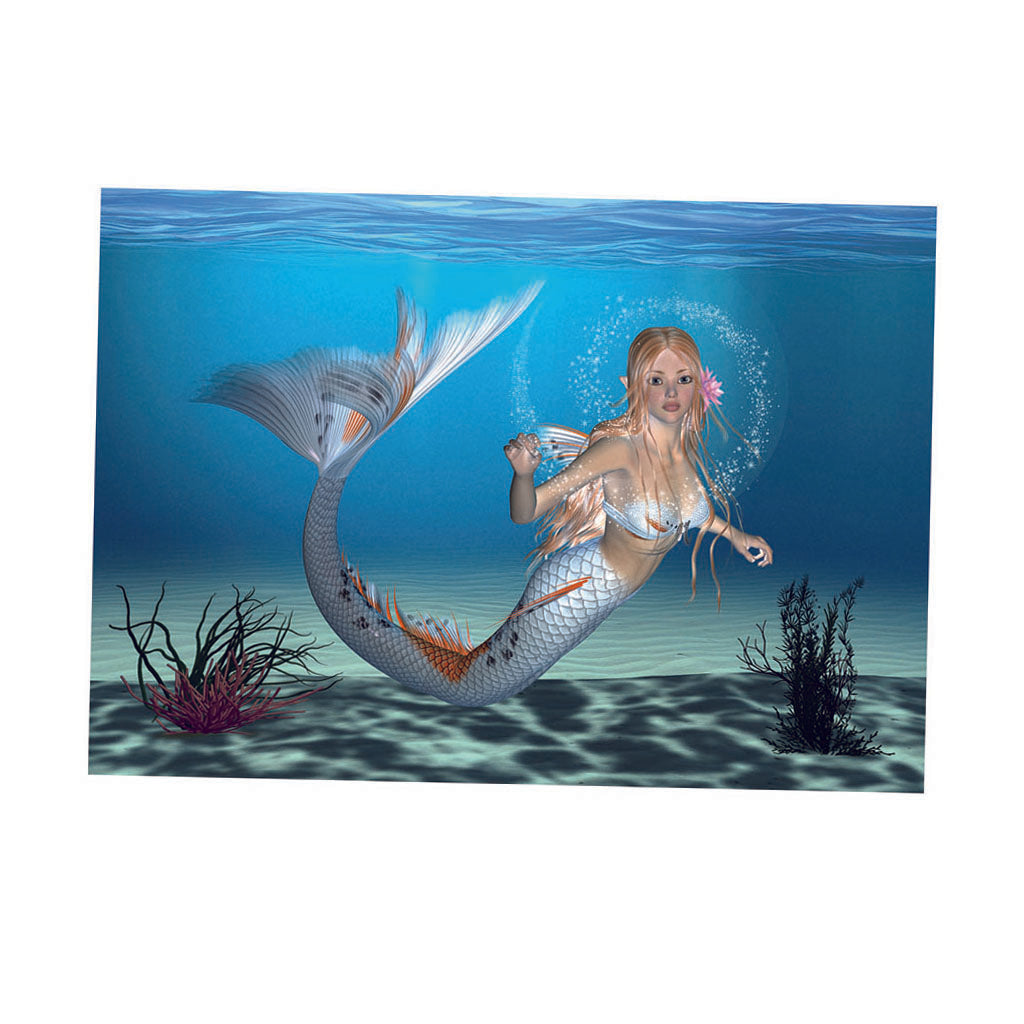 Aquarium Background HD Picture Reptile Vivarium Wallpaper Mermaid XL