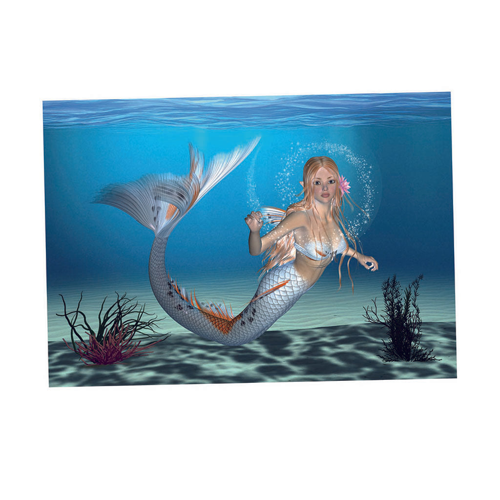 Aquarium Background HD Picture Reptile Vivarium Wallpaper Mermaid XL