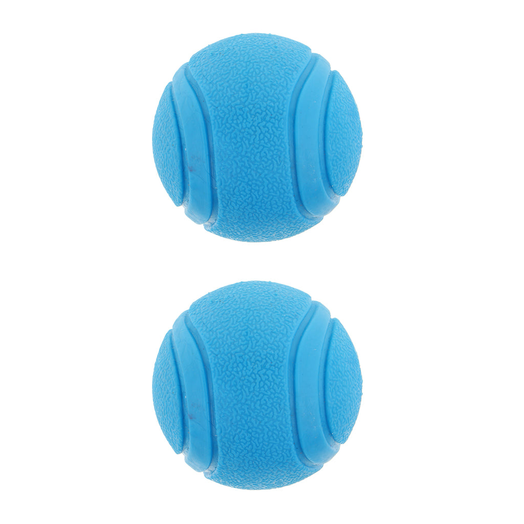 2Pcs Nearly Indestructible Dog Balls, Chew Fetch Play Pet Dogs Toy Blue