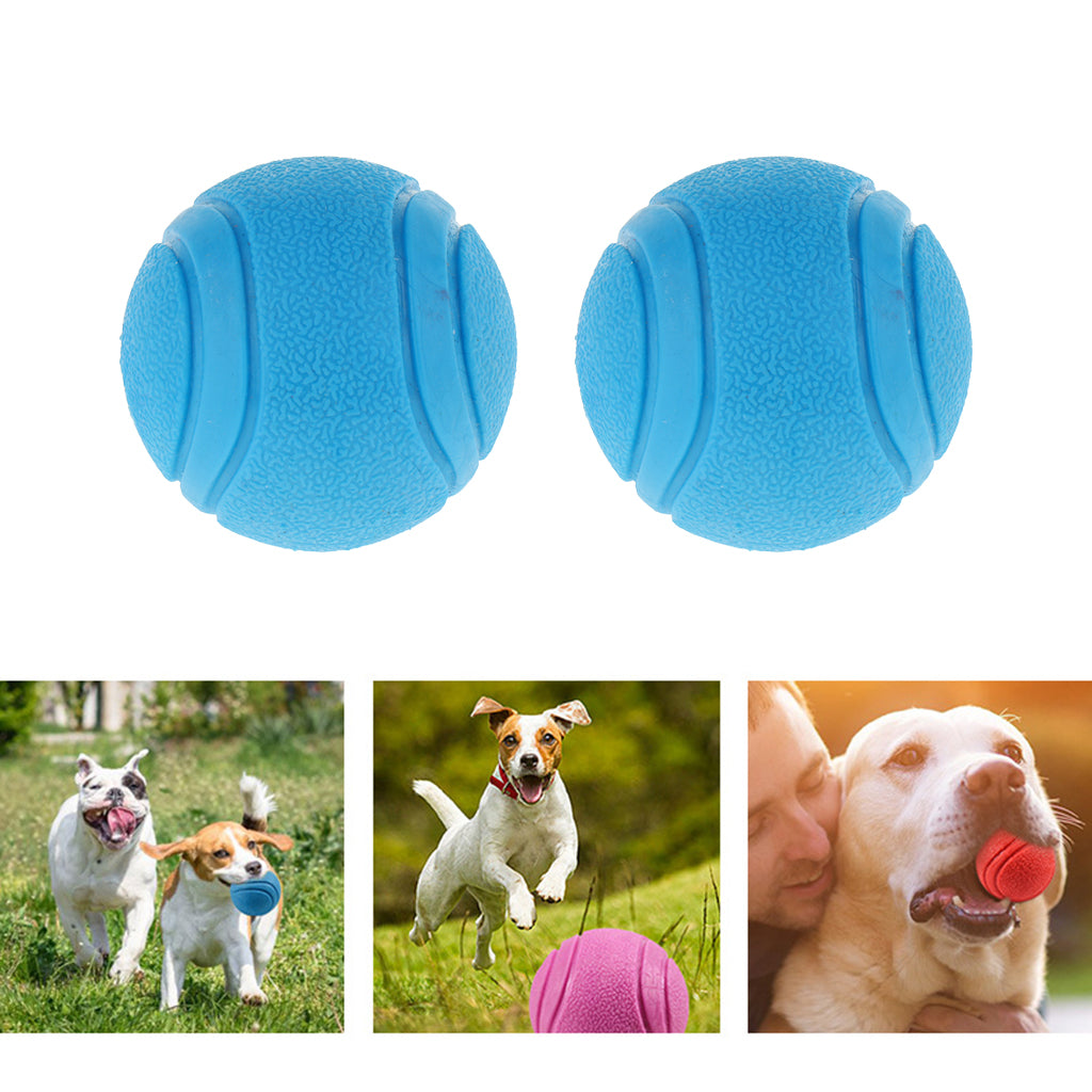 2Pcs Nearly Indestructible Dog Balls, Chew Fetch Play Pet Dogs Toy Blue