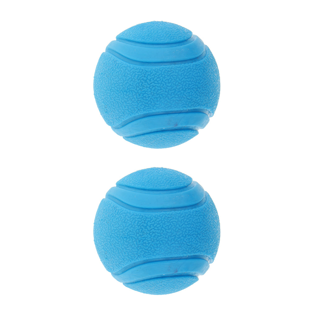 2Pcs Nearly Indestructible Dog Balls, Chew Fetch Play Pet Dogs Toy Blue