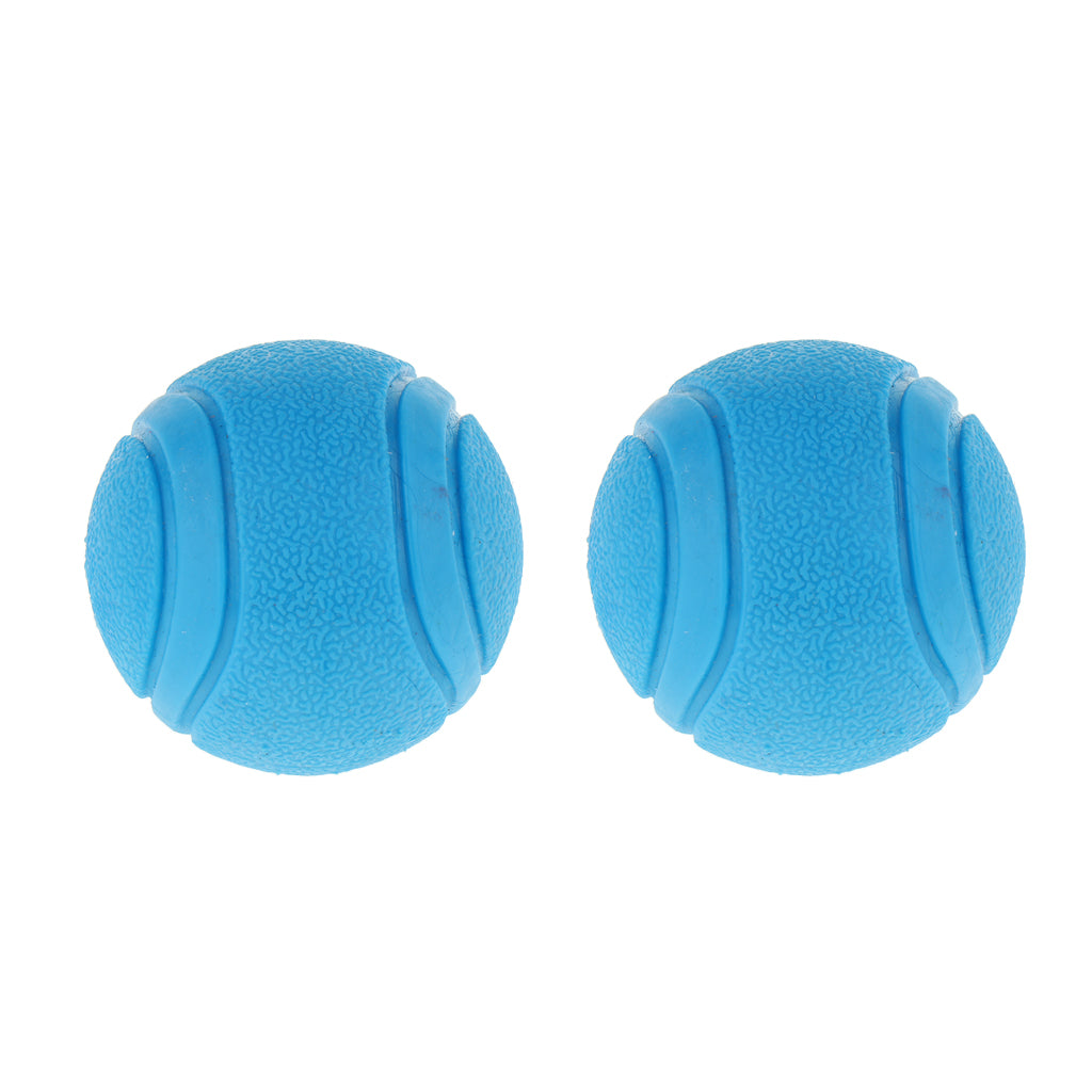 2Pcs Nearly Indestructible Dog Balls, Chew Fetch Play Pet Dogs Toy Blue