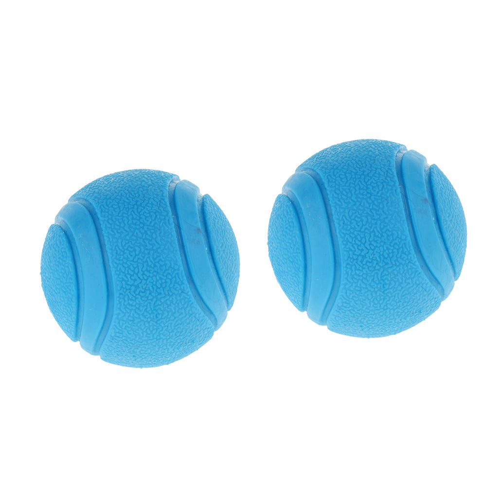 2Pcs Nearly Indestructible Dog Balls, Chew Fetch Play Pet Dogs Toy Blue