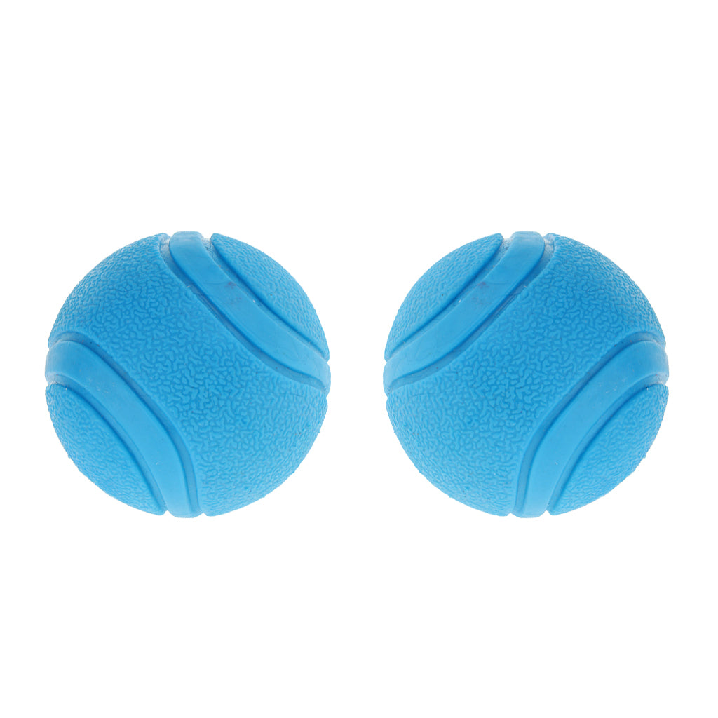 2Pcs Nearly Indestructible Dog Balls, Chew Fetch Play Pet Dogs Toy Blue