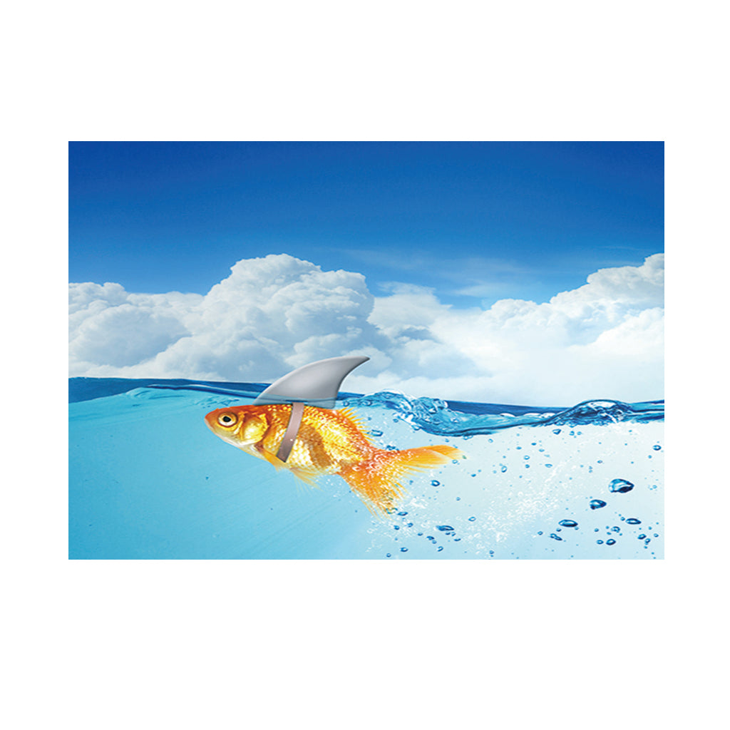 Aquarium Fish Tank Adhesive Background Picture Wall Decoration XS