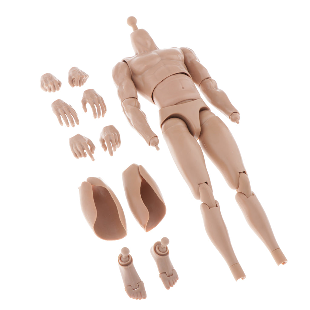 1/6 Skeleton Muscle Muscular Nude Male Action Figure Body DIY Normal Skin