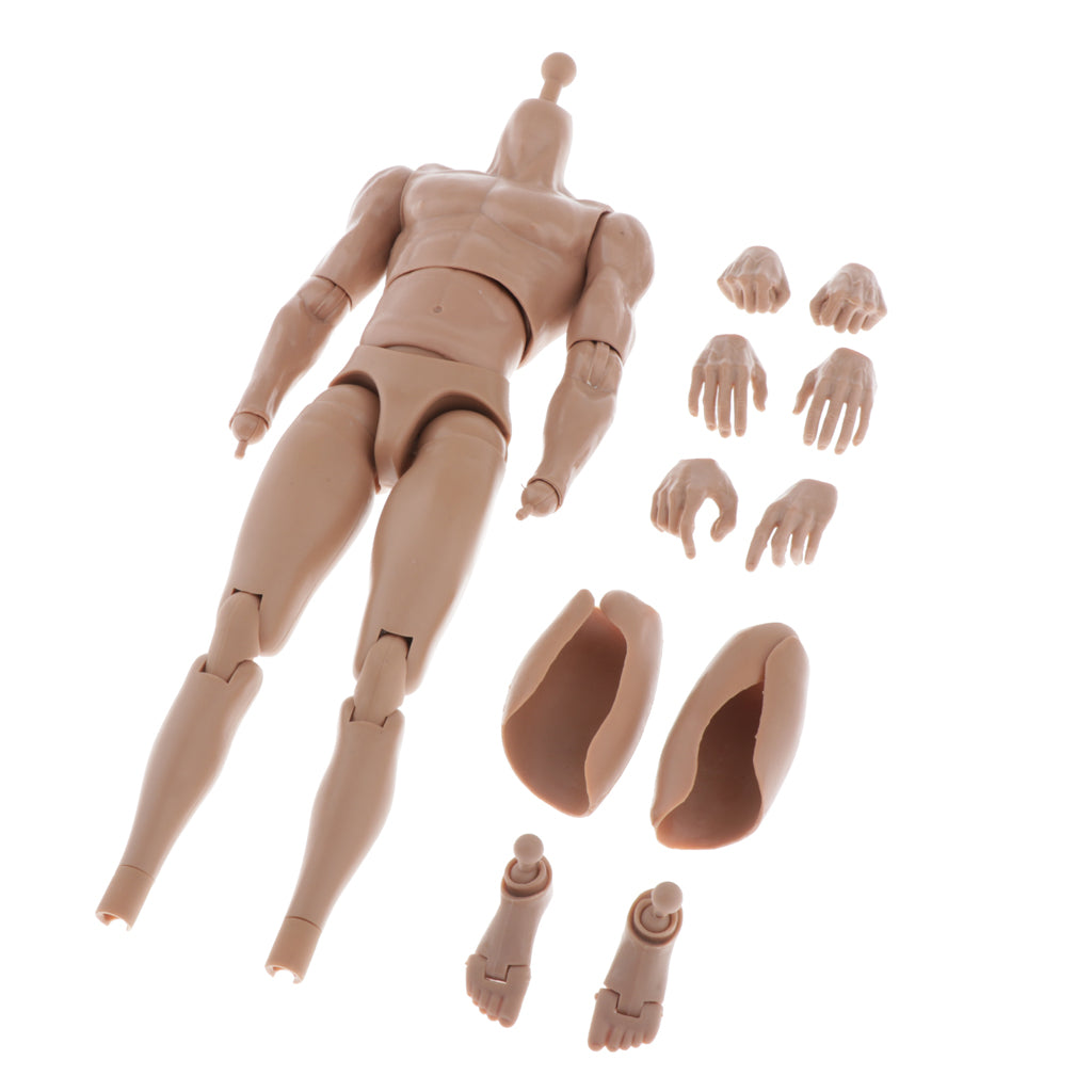 1/6 Skeleton Muscle Muscular Nude Male Action Figure Body DIY Normal Skin