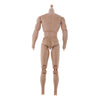 1/6 Skeleton Muscle Muscular Nude Male Action Figure Body DIY Normal Skin