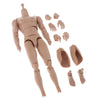 1/6 Skeleton Muscle Muscular Nude Male Action Figure Body DIY Normal Skin