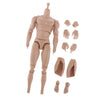 1/6 Skeleton Muscle Muscular Nude Male Action Figure Body DIY Normal Skin