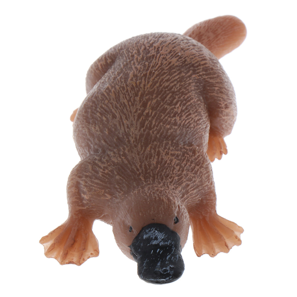 Simulation Multi Animal Model Figurine Educational Toy Home Decor Platypus