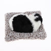 Simulation Cat Desktop Animal Ornament Car / Home Decoration White + Black