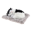 Simulation Cat Desktop Animal Ornament Car / Home Decoration White + Black