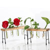 Creative Test Tube Flower Vase ChairWooden Stand for Hydroponic Plant 3 Tube