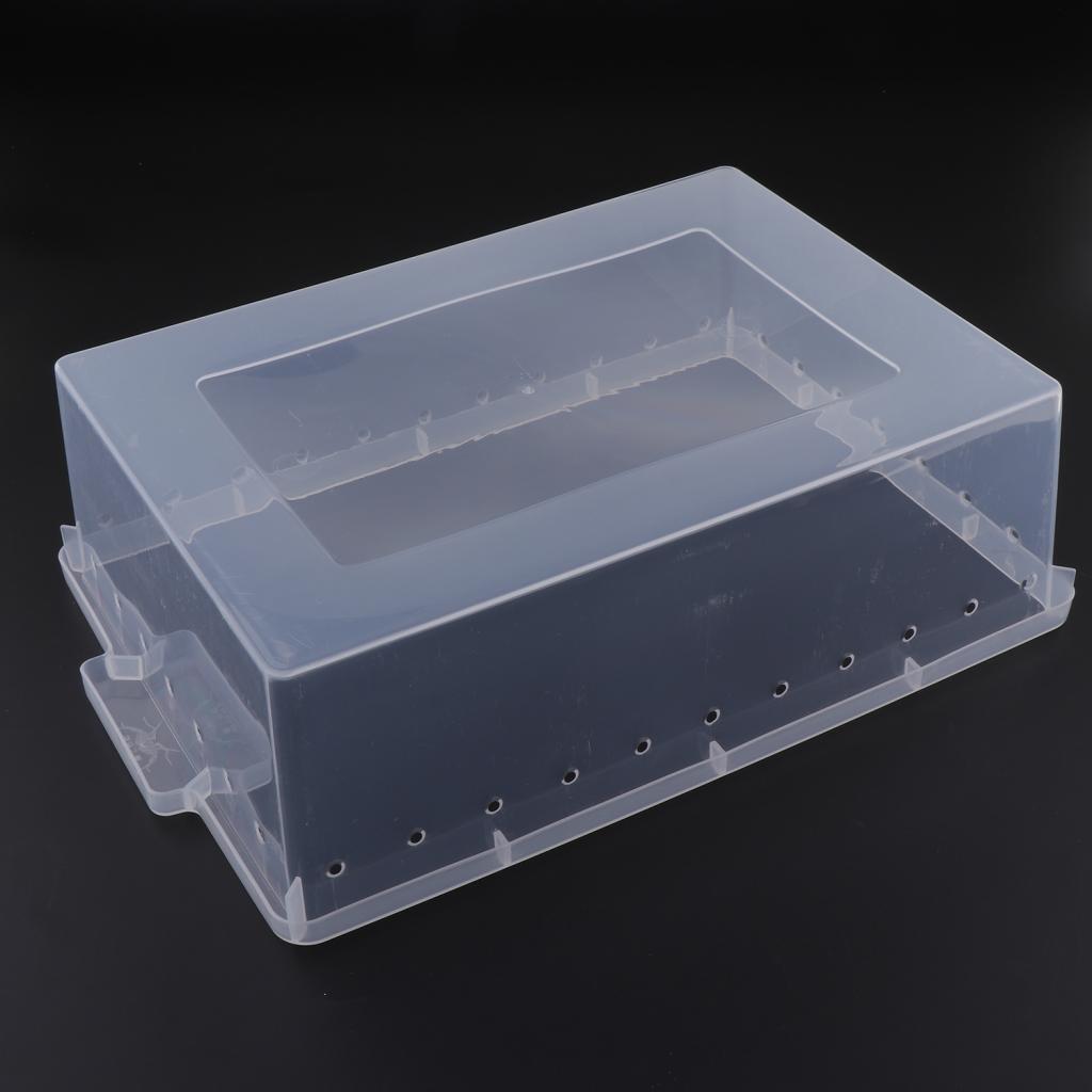 Reptile Box Case for Snake Turtle Breeding Feeding Hatching Container Clear_33x24x10cm